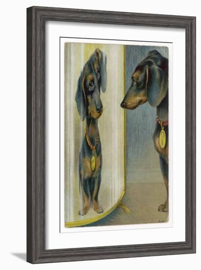 Dachshund Admires Its Reflection in a Distorting Mirror-null-Framed Art Print