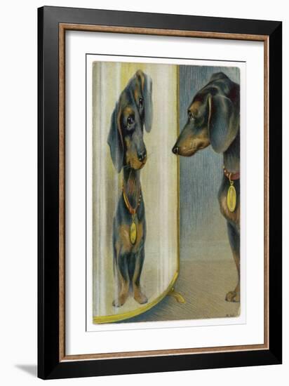 Dachshund Admires Its Reflection in a Distorting Mirror-null-Framed Art Print