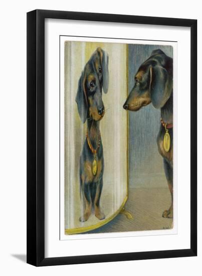 Dachshund Admires Its Reflection in a Distorting Mirror-null-Framed Art Print
