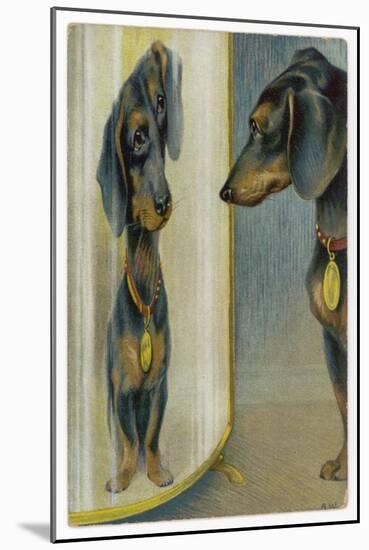 Dachshund Admires Its Reflection in a Distorting Mirror-null-Mounted Art Print