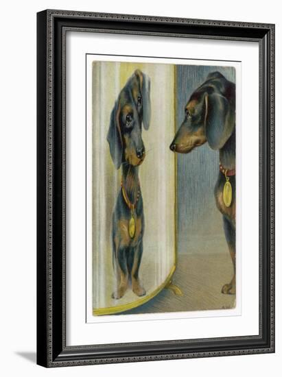 Dachshund Admires Its Reflection in a Distorting Mirror-null-Framed Art Print