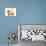 Dachshund and Butterfly-Nate Owens-Giclee Print displayed on a wall