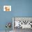 Dachshund and Butterfly-Nate Owens-Mounted Giclee Print displayed on a wall