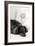 Dachshund Black and White-Karyn Millet-Framed Photographic Print