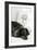 Dachshund Black and White-Karyn Millet-Framed Photographic Print