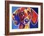 Dachshund - Bubbs-Dawgart-Framed Giclee Print