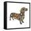 Dachshund Circles-Ron Magnes-Framed Premier Image Canvas