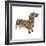 Dachshund Circles-Ron Magnes-Framed Giclee Print