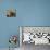 Dachshund Dog Amongst Flowers, USA-Lynn M. Stone-Premium Photographic Print displayed on a wall