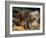 Dachshund Dog Puppies, Smooth Haired and Wire Haired-Lynn M. Stone-Framed Photographic Print