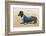 Dachshund Dressed as a Man-null-Framed Photographic Print