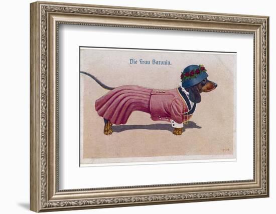 Dachshund Dressed as a Woman-null-Framed Photographic Print