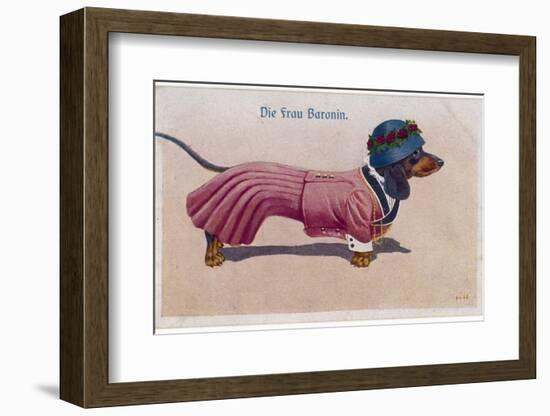 Dachshund Dressed as a Woman-null-Framed Photographic Print