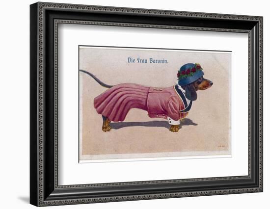 Dachshund Dressed as a Woman-null-Framed Photographic Print