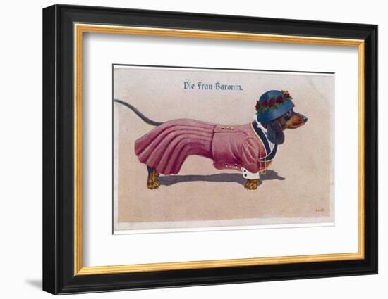 Dachshund Dressed as a Woman-null-Framed Photographic Print