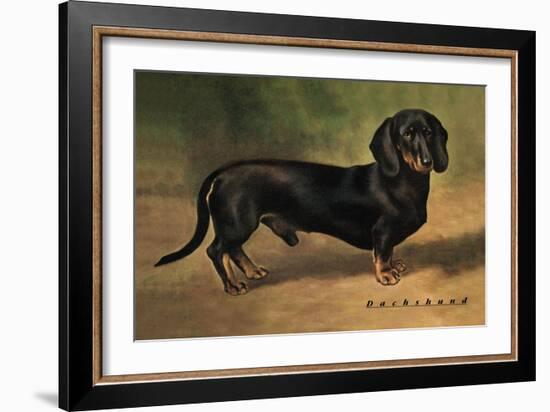 Dachshund Earl Satin-null-Framed Art Print