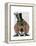 Dachshund Green Goggles Top Hat-Fab Funky-Framed Stretched Canvas