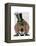 Dachshund Green Goggles Top Hat-Fab Funky-Framed Stretched Canvas