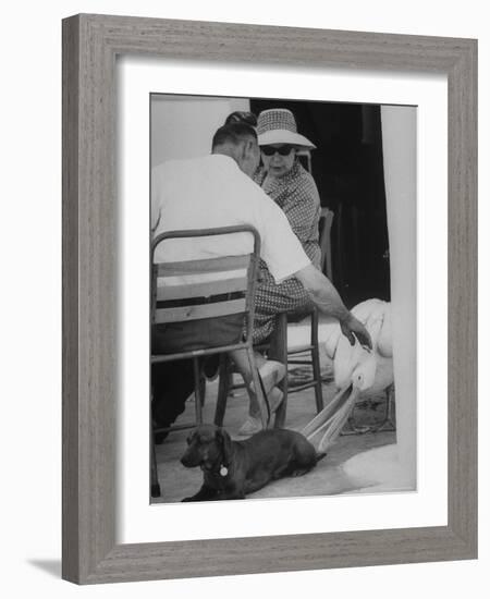 Dachshund Ignoring Pelican's Teasing-James Burke-Framed Photographic Print