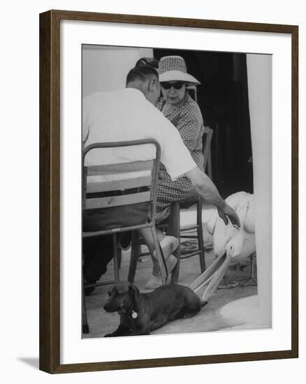 Dachshund Ignoring Pelican's Teasing-James Burke-Framed Photographic Print