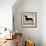 Dachshund Longboards-Ryan Fowler-Framed Premium Giclee Print displayed on a wall