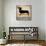 Dachshund Longboards-Ryan Fowler-Premium Giclee Print displayed on a wall