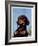 "Dachshund,"May 14, 1938-Ivan Dmitri-Framed Giclee Print