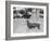 Dachshund on a Leash in Australia, Ca. 1955.-Kirn Vintage Stock-Framed Photographic Print