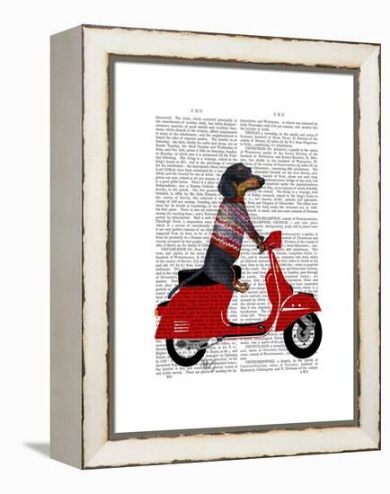 Dachshund on a Moped-Fab Funky-Framed Stretched Canvas