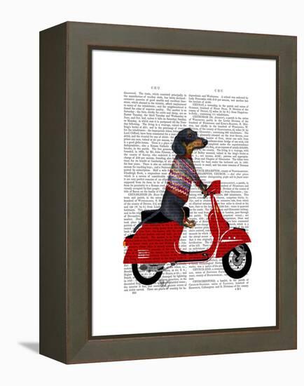 Dachshund on a Moped-Fab Funky-Framed Stretched Canvas