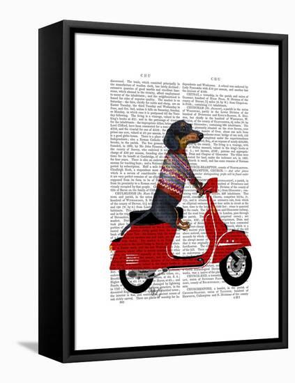 Dachshund on a Moped-Fab Funky-Framed Stretched Canvas