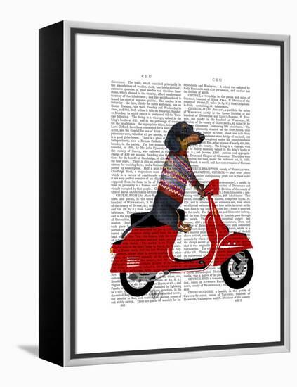 Dachshund on a Moped-Fab Funky-Framed Stretched Canvas