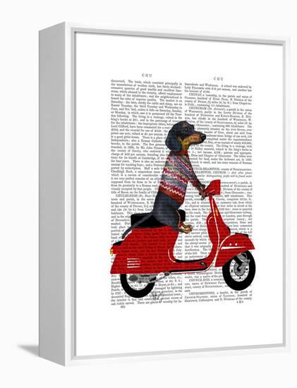 Dachshund on a Moped-Fab Funky-Framed Stretched Canvas