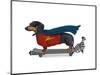 Dachshund On Skateboard-Fab Funky-Mounted Art Print