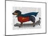 Dachshund On Skateboard-Fab Funky-Mounted Art Print