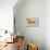 Dachshund Orange-NaxArt-Premium Giclee Print displayed on a wall