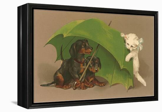 Dachshund Puppies Under Umbrella with Kitten-null-Framed Stretched Canvas