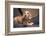 Dachshund puppy portrait-Zandria Muench Beraldo-Framed Photographic Print