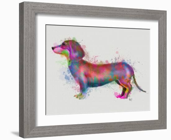Dachshund Rainbow Splash 1-Fab Funky-Framed Art Print