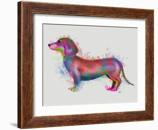 Dachshund Rainbow Splash 1-Fab Funky-Framed Art Print