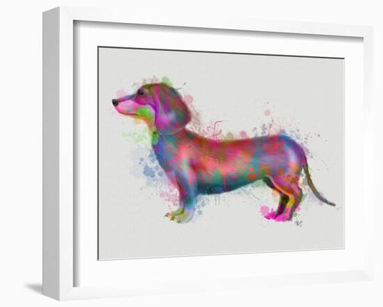 Dachshund Rainbow Splash 1-Fab Funky-Framed Art Print