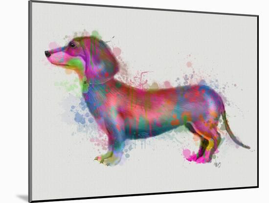 Dachshund Rainbow Splash 1-Fab Funky-Mounted Art Print