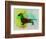 Dachshund Watercolor-NaxArt-Framed Art Print