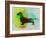 Dachshund Watercolor-NaxArt-Framed Art Print