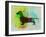 Dachshund Watercolor-NaxArt-Framed Art Print