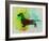 Dachshund Watercolor-NaxArt-Framed Art Print