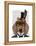 Dachshund with Top Hat and Goggles-Fab Funky-Framed Stretched Canvas