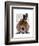 Dachshund with Top Hat and Goggles-Fab Funky-Framed Art Print