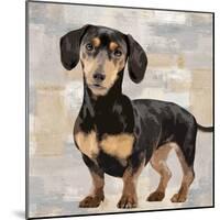 Dachshund-Keri Rodgers-Mounted Giclee Print
