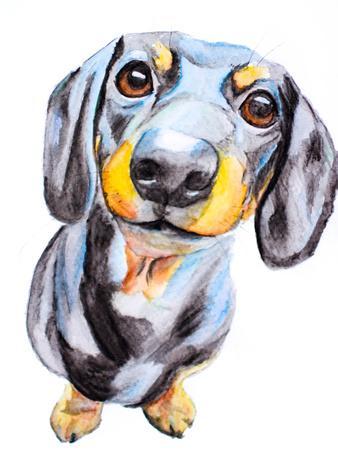dachshund art